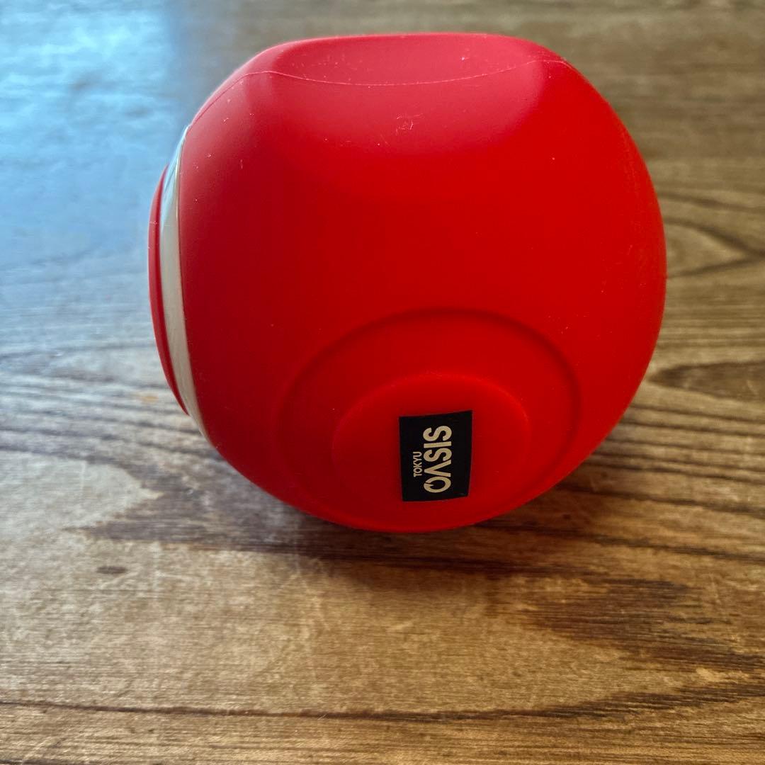 フィットネスクラブがつくった スタイリーボール