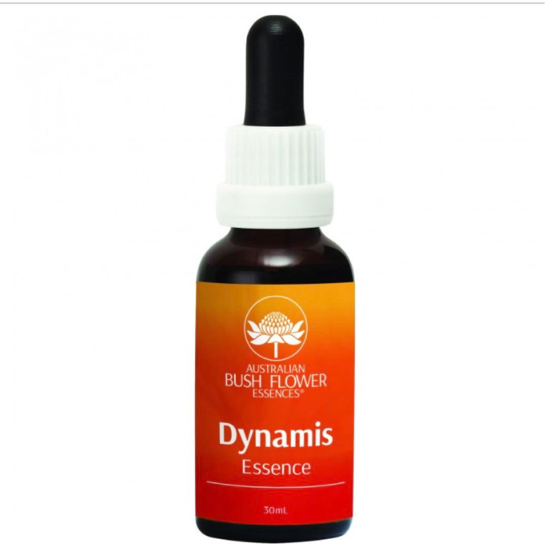 BLOOMS internationalさま専用