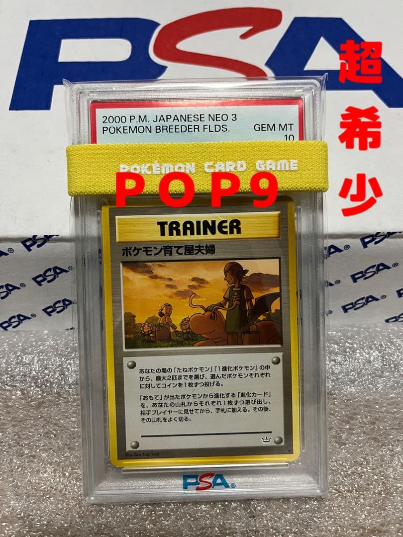 旧裏　ポケモン育て屋夫婦　psa10