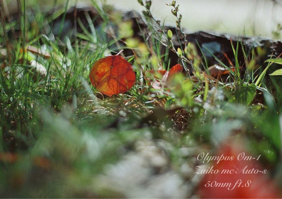 ★超美品！完動品★OLYMPUS OM-1（ブラック）作例多数★初期保証付き！