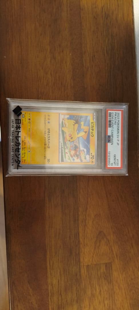 H*a様 【PSA10最高評価】ピカチュウ 120/SV-P プロモ リザードン