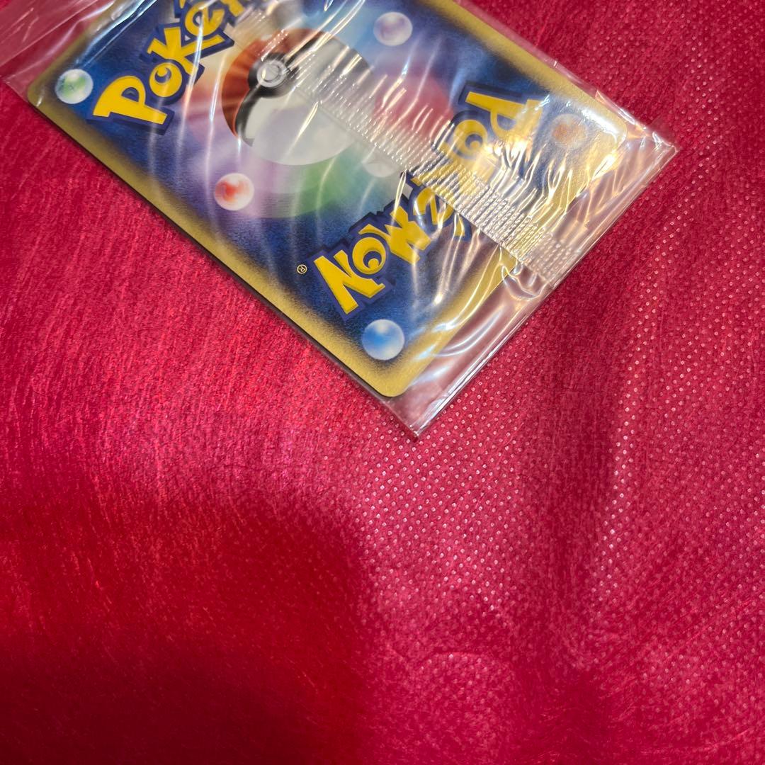 【12/10まで値引き】 ポケパークのミズゴロウ 未開封 048/PCG-P