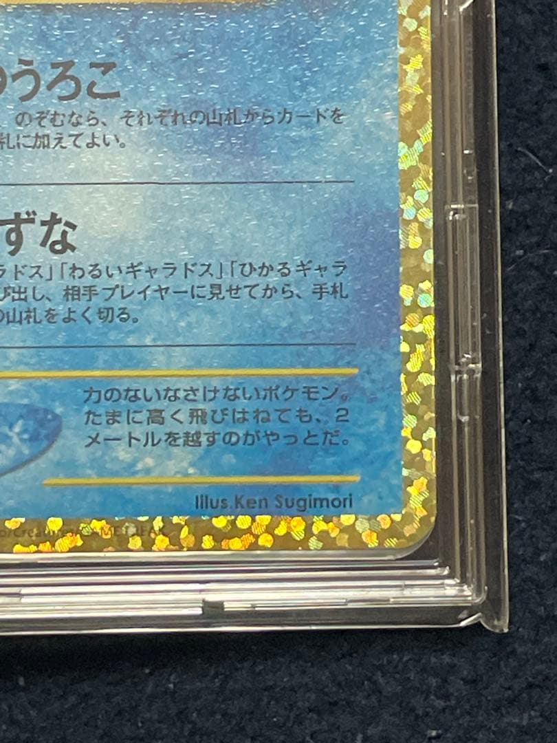 ひかるコイキング　25th