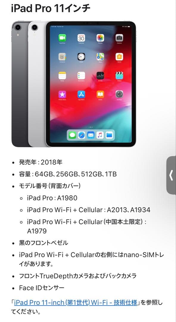 iPad Pro 11インチ　本体 シルバー　Apple Pencil 第2世代