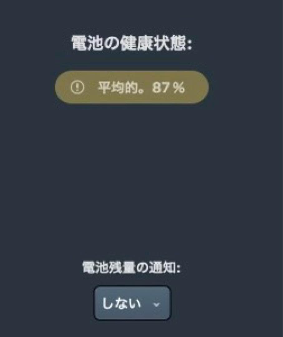 良品　iPad Pro 12.9インチ 第3世代 Cellular 64GB