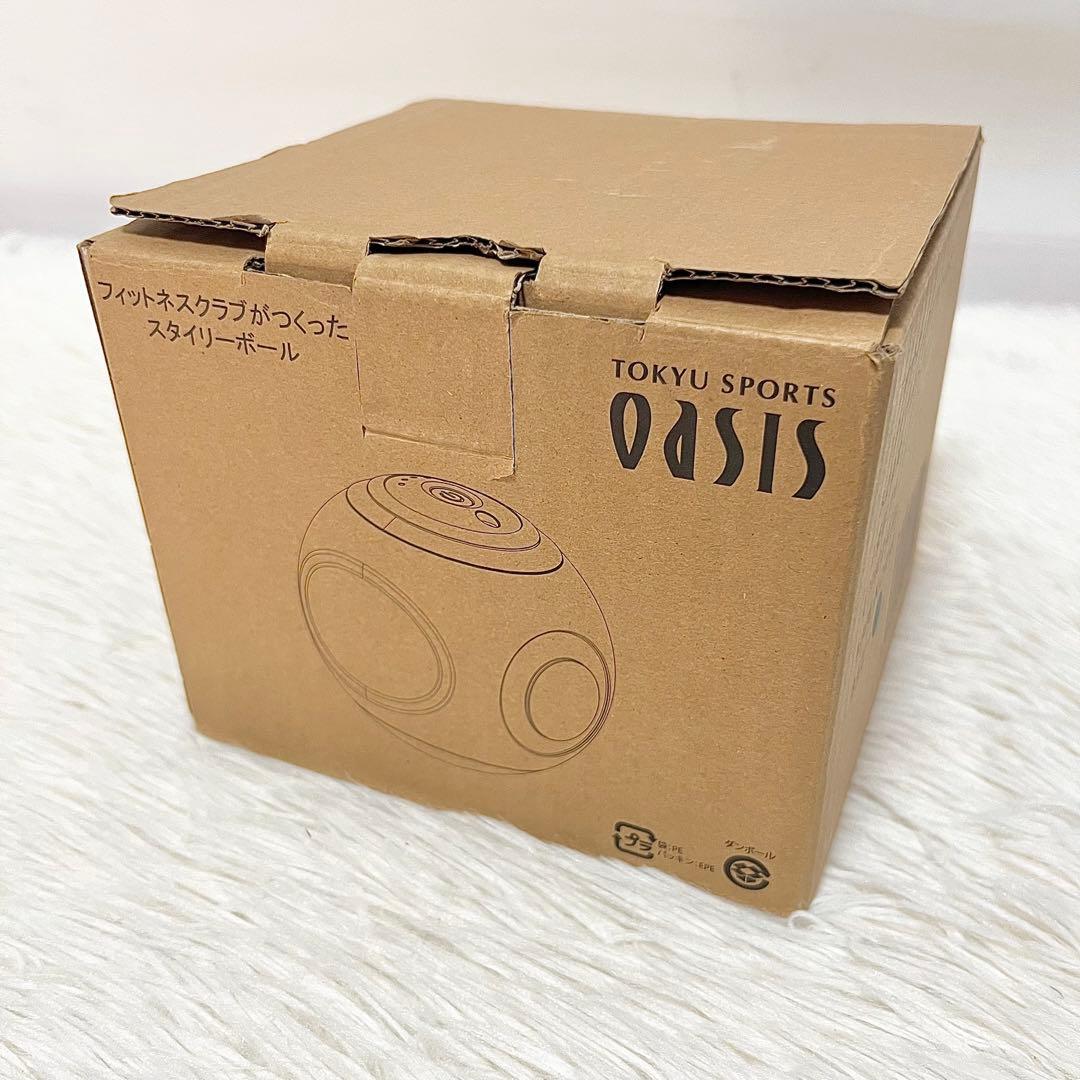 【未使用品】東急スポーツオアシス スタイリーボール SLB-100