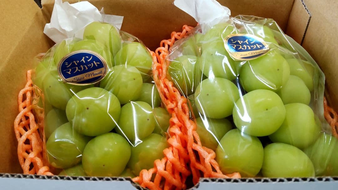 信州産 シャインマスカット 秀品 (大きい房4房入り) 2.4㎏ ぶどう