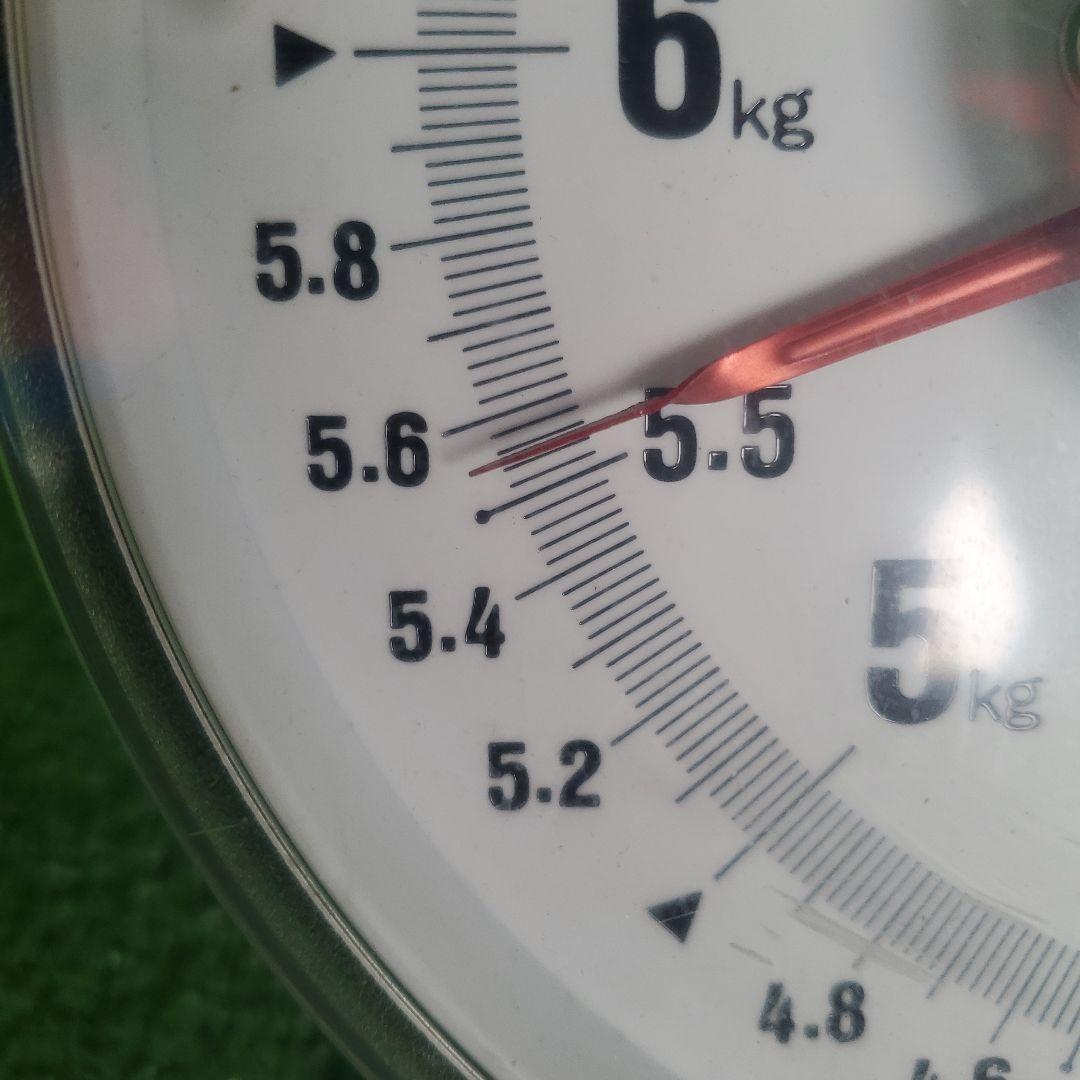 3️⃣ 山梨県産 シャインマスカット８房入り 箱込み5.5キロ