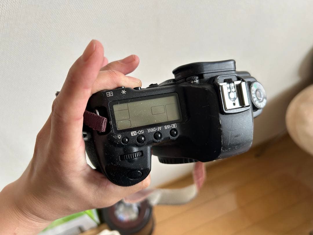 完全動作確認済み 【美】Canon EOS 5D Mark II 一眼レフ