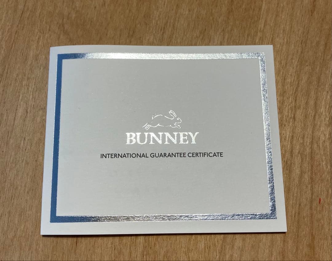 BUNNEY クロコダイル模様ペンダント　早い者勝ち‼️