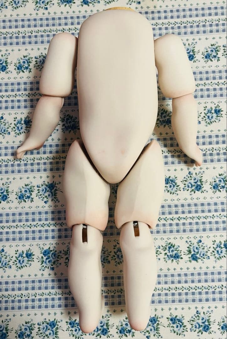 さんごやまさま専用　グーグリーボディオーダー