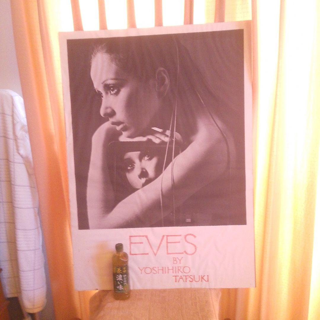 立木ヨシヒロ　大型　ポスター　本土のみ