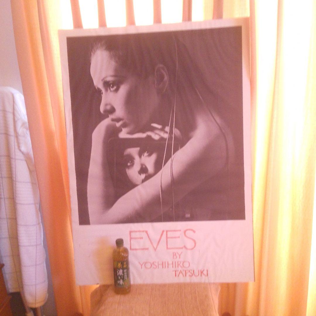 立木ヨシヒロ　大型　ポスター　本土のみ