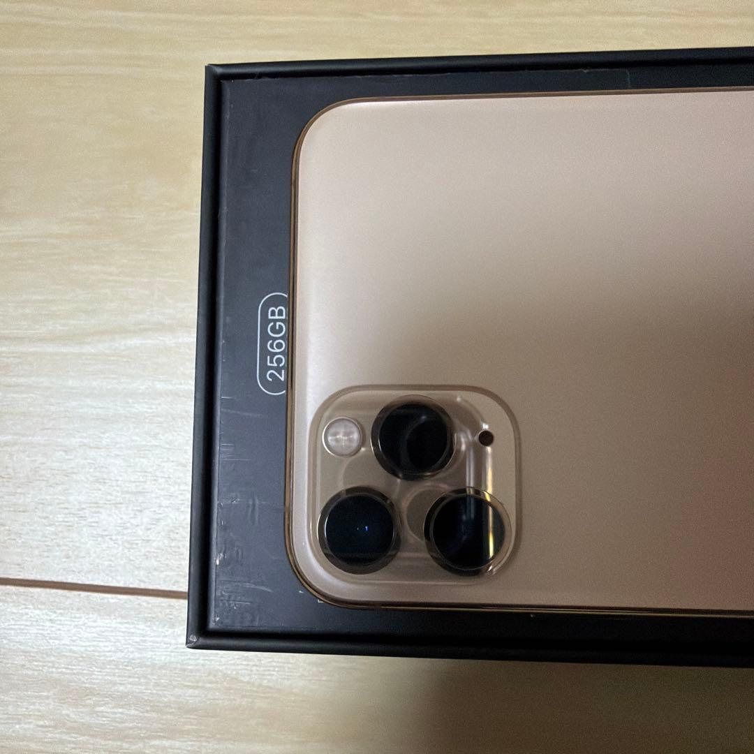 Apple iPhone 11 Pro Max 256GB ゴールド 本体
