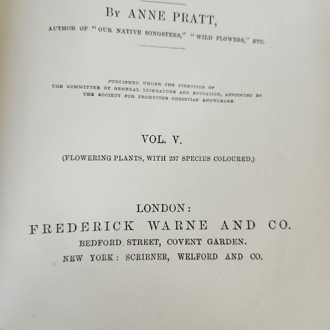 植物図鑑　洋書　ボタニカルアート　アンティーク　リトグラフ　イギリス　古書　18