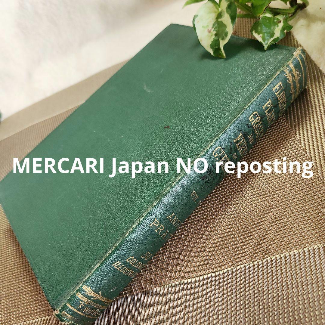 植物図鑑　洋書　ボタニカルアート　アンティーク　リトグラフ　イギリス　古書　18