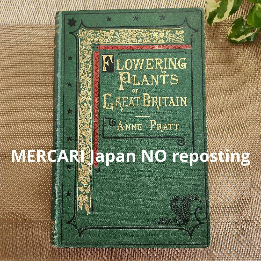 植物図鑑　洋書　ボタニカルアート　アンティーク　リトグラフ　イギリス　古書　18