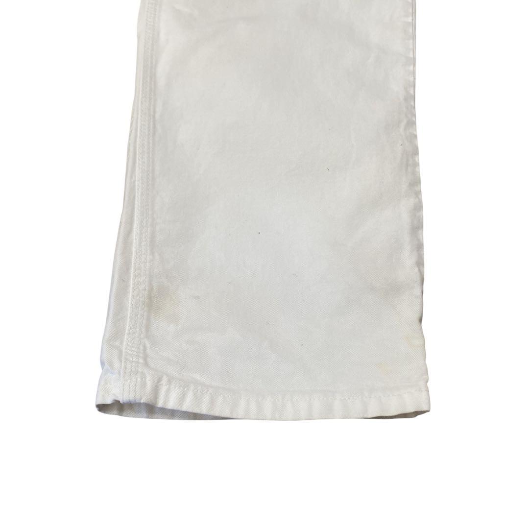 Dickies Sherwin Williams ワークパンツ　ペインターパンツ