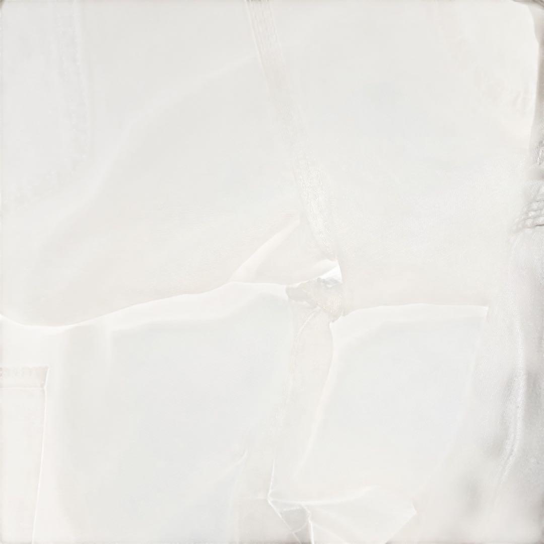 Dickies Sherwin Williams ワークパンツ　ペインターパンツ