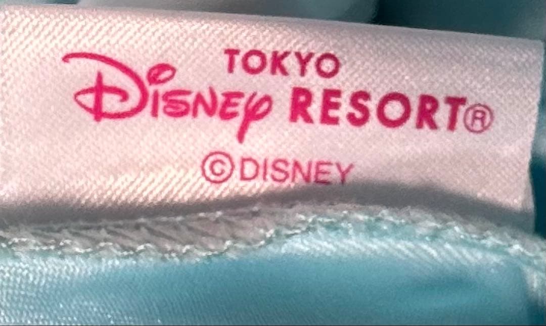 Disney RESORT タグ アナ雪 エルサ ドレス 120cm 刺繍レース