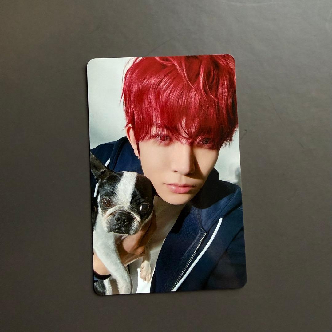 ENHYPEN ヒスン アンケート トレカ