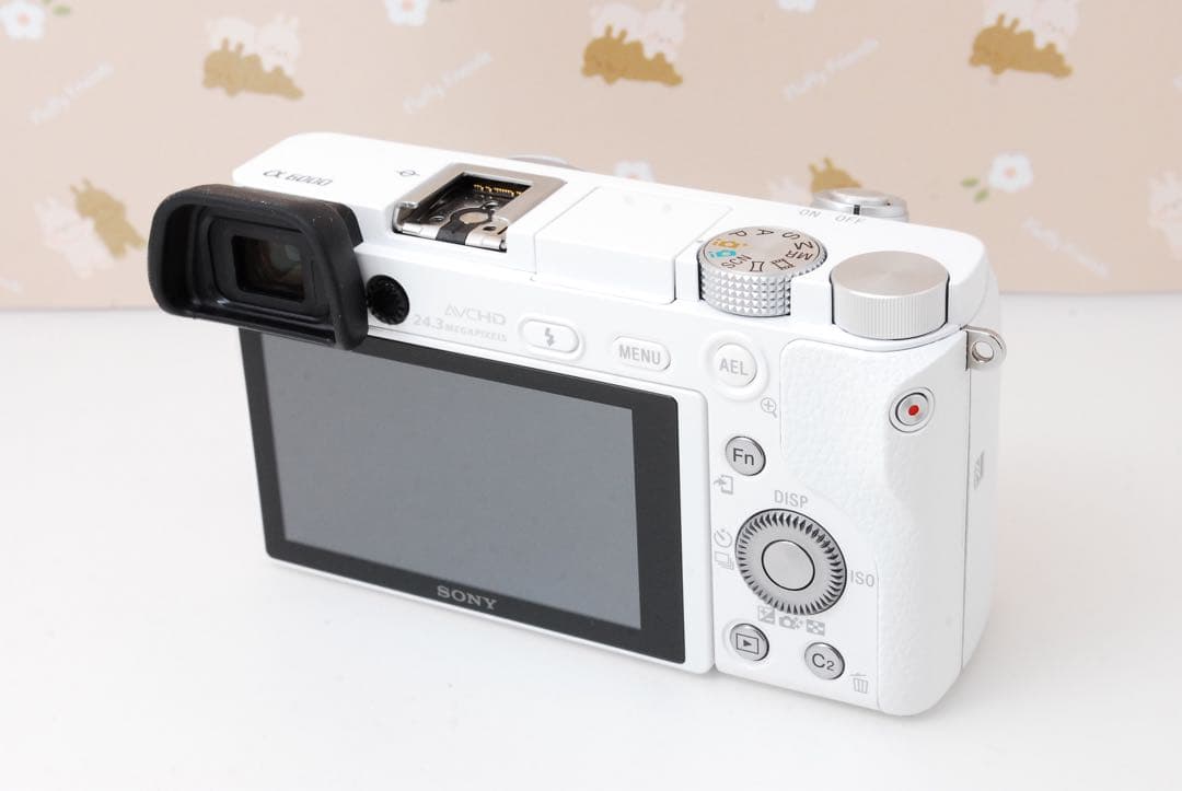 Wi-Fi❤️美品❤️ショット極少❤️超高画質＆高速AF❤️SONY α6000