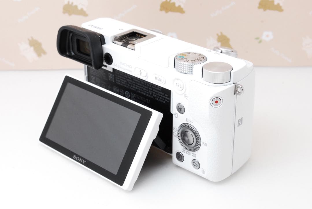 Wi-Fi❤️美品❤️ショット極少❤️超高画質＆高速AF❤️SONY α6000