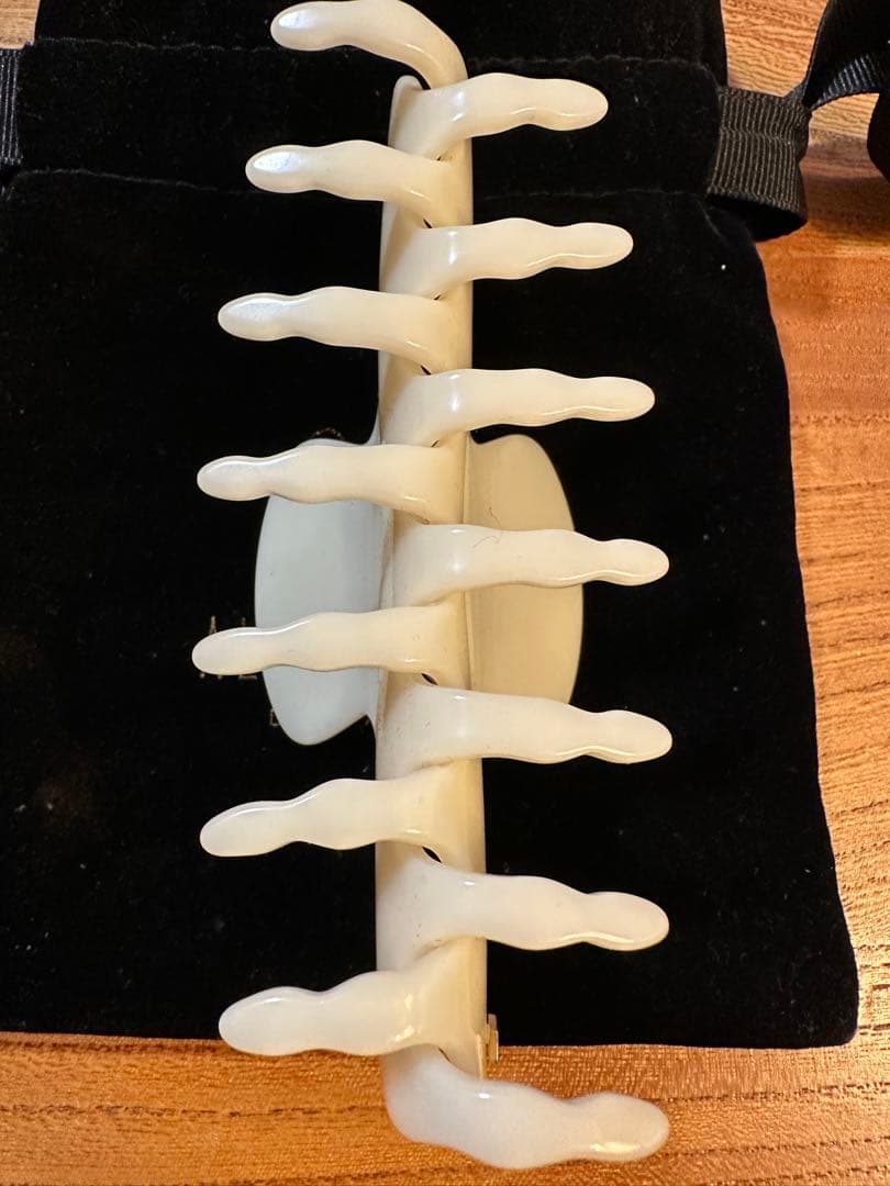 アレクサンドルドゥパリ⭐︎ヘアクリップ⭐︎Arts&Science