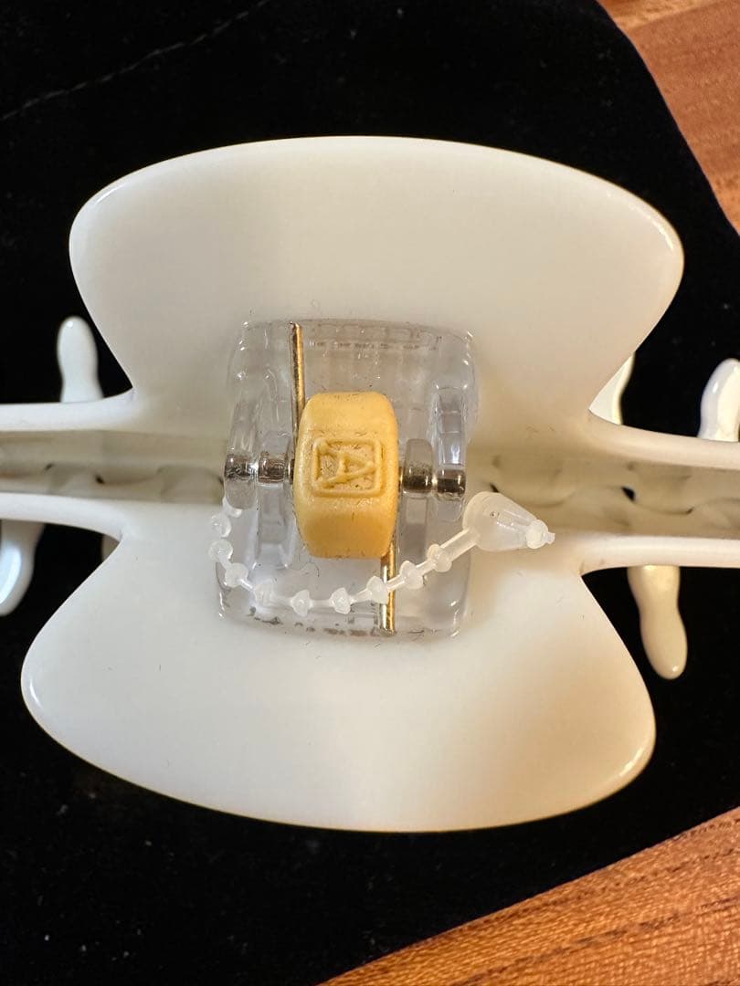 アレクサンドルドゥパリ⭐︎ヘアクリップ⭐︎Arts&Science