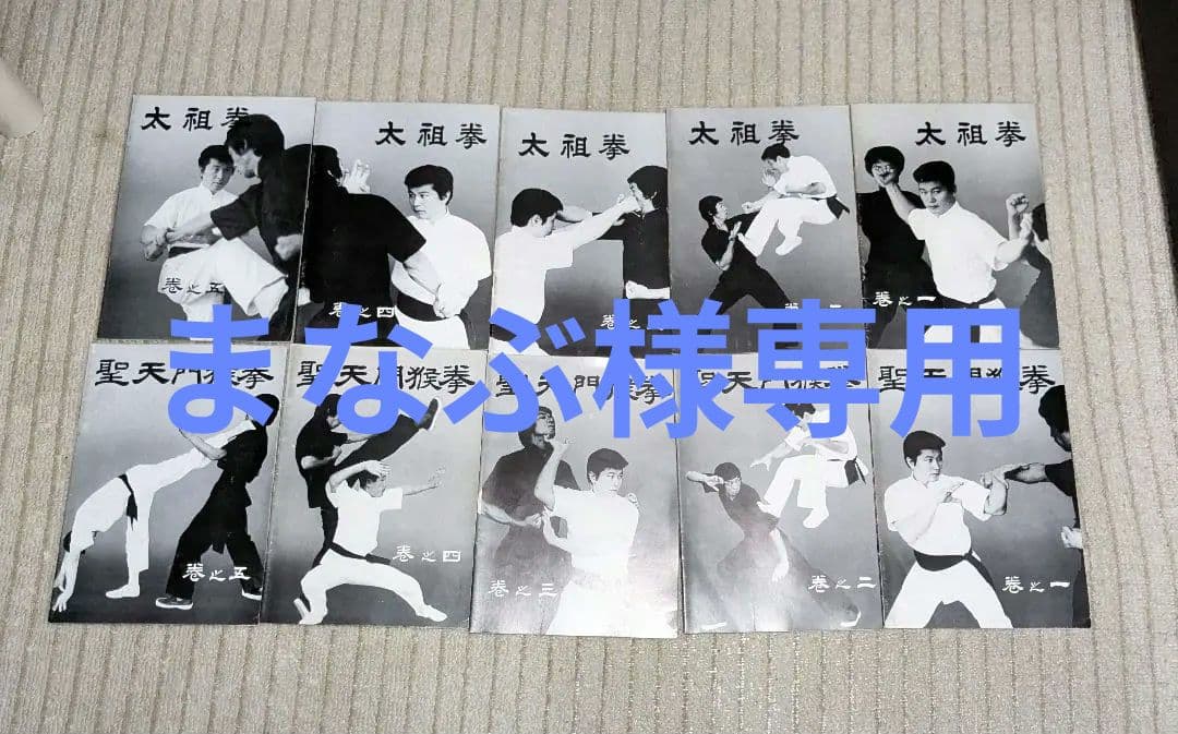 中国拳法大講座　全27冊　形意拳道　4冊　人体急所図