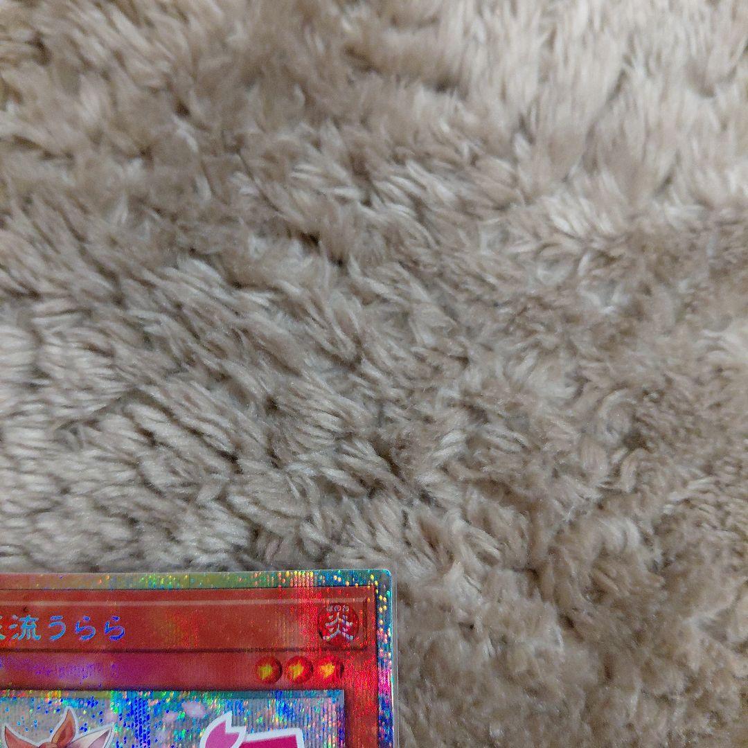 遊戯王　灰流うらら　プリシク