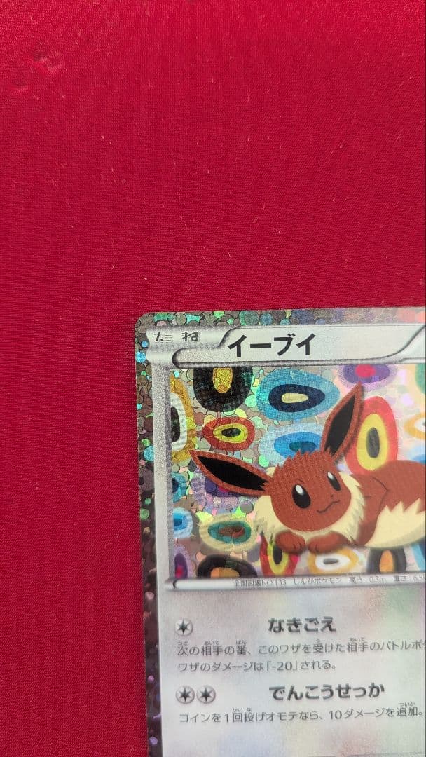 イーブイ 189/BW-P 1枚 イーブイコレクション プロモカード