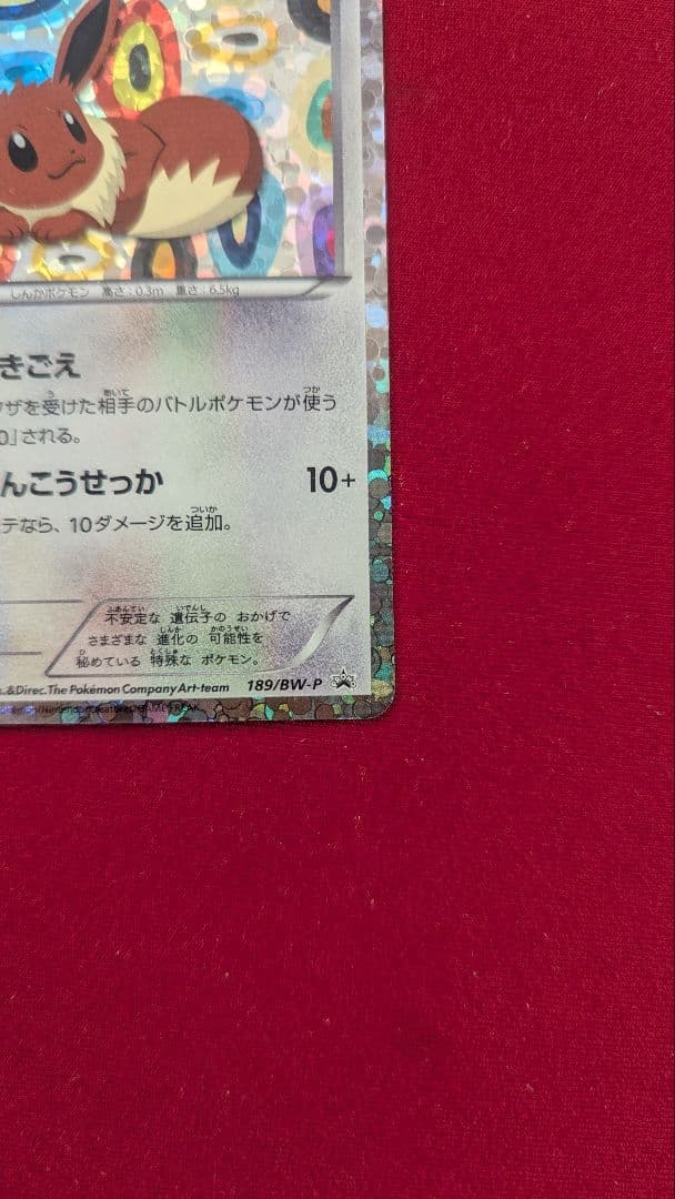 イーブイ 189/BW-P 1枚 イーブイコレクション プロモカード