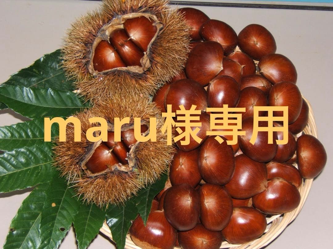 幻の栗⭐︎中山栗2L~4L混合10kgクール便（匿名不可）農家直送2025-015