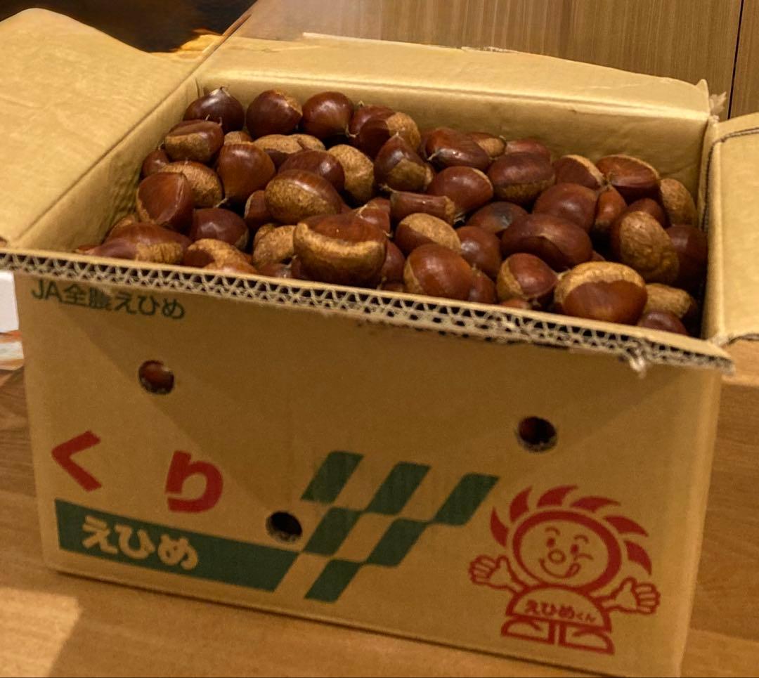 幻の栗⭐︎中山栗2L~4L混合10kgクール便（匿名不可）農家直送2025-015