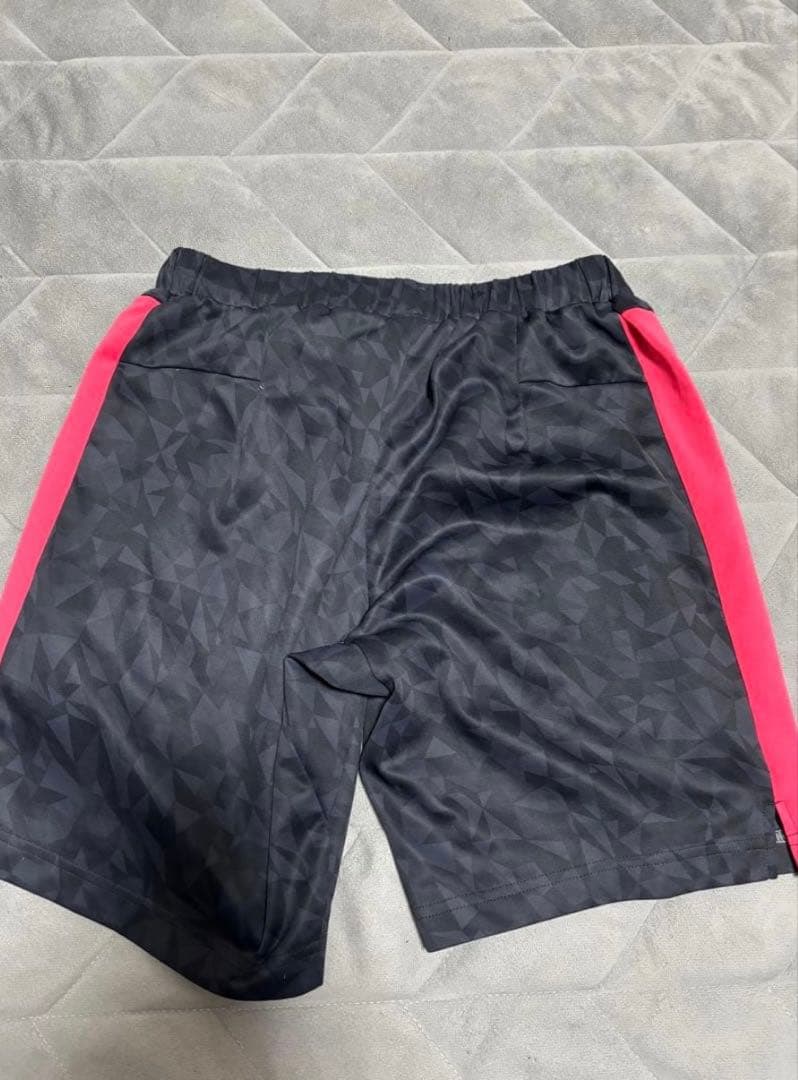 ヨネックス ハーフパンツ　日本代表モデル