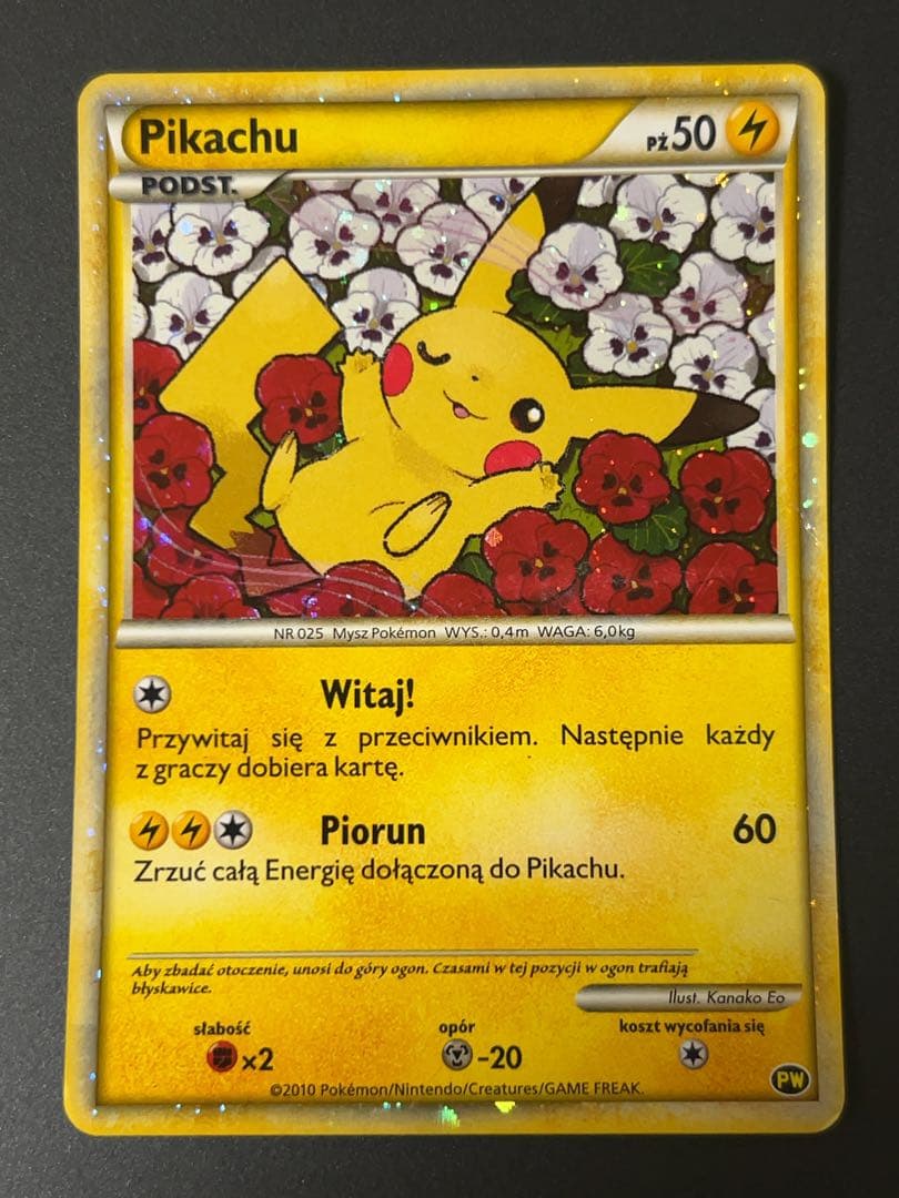 ピカチュウ ワールド ポーランド PW