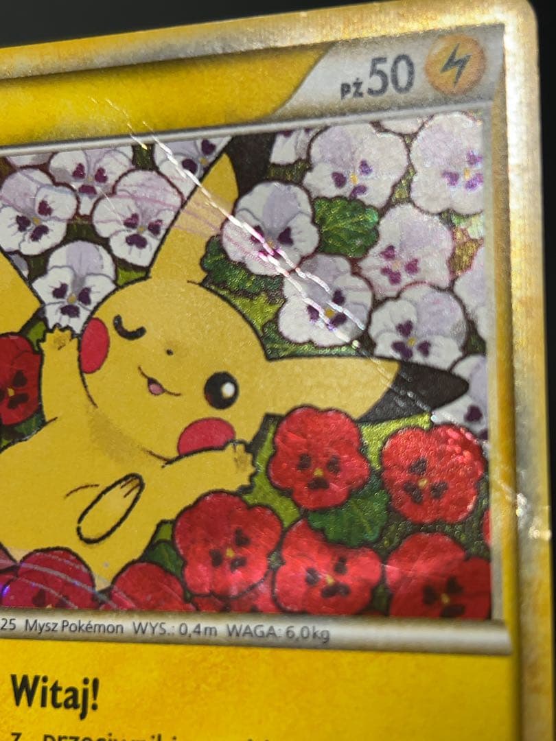 ピカチュウ ワールド ポーランド PW