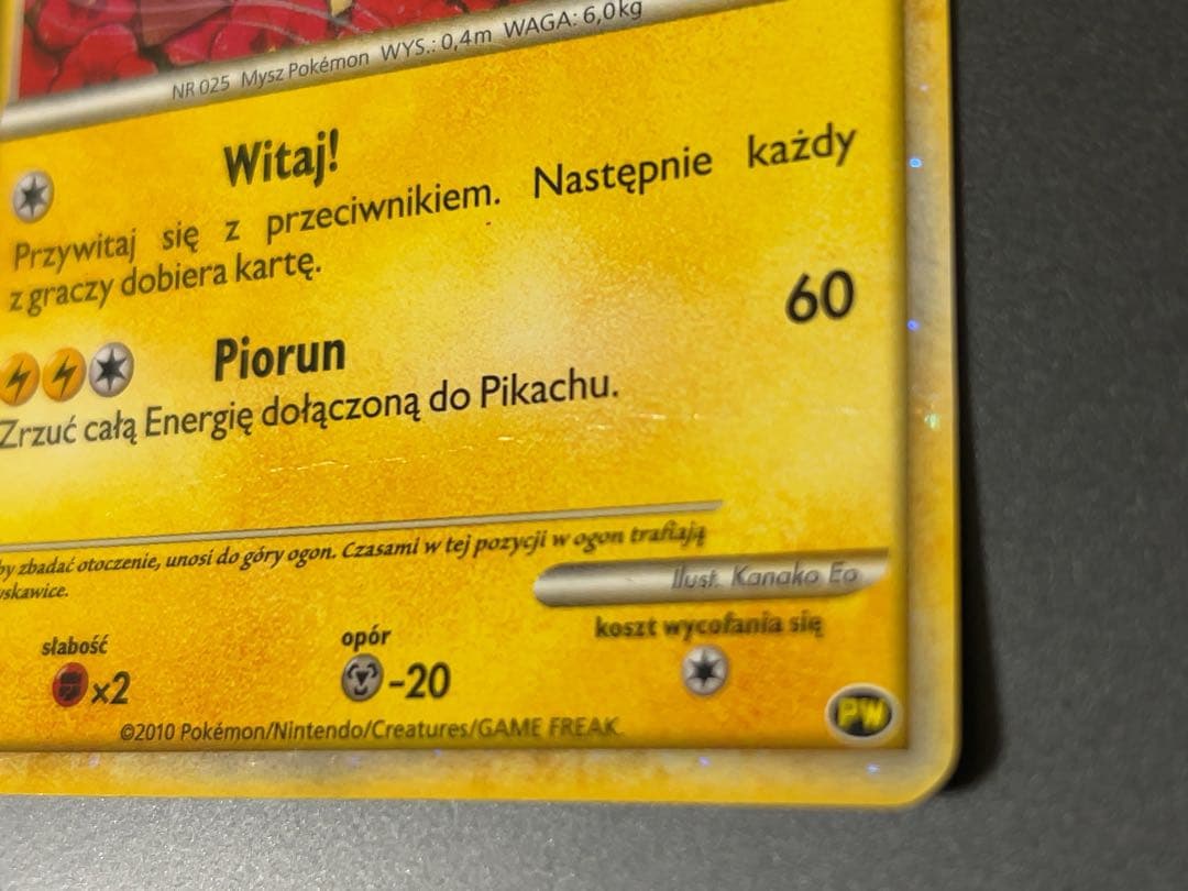 ピカチュウ ワールド ポーランド PW