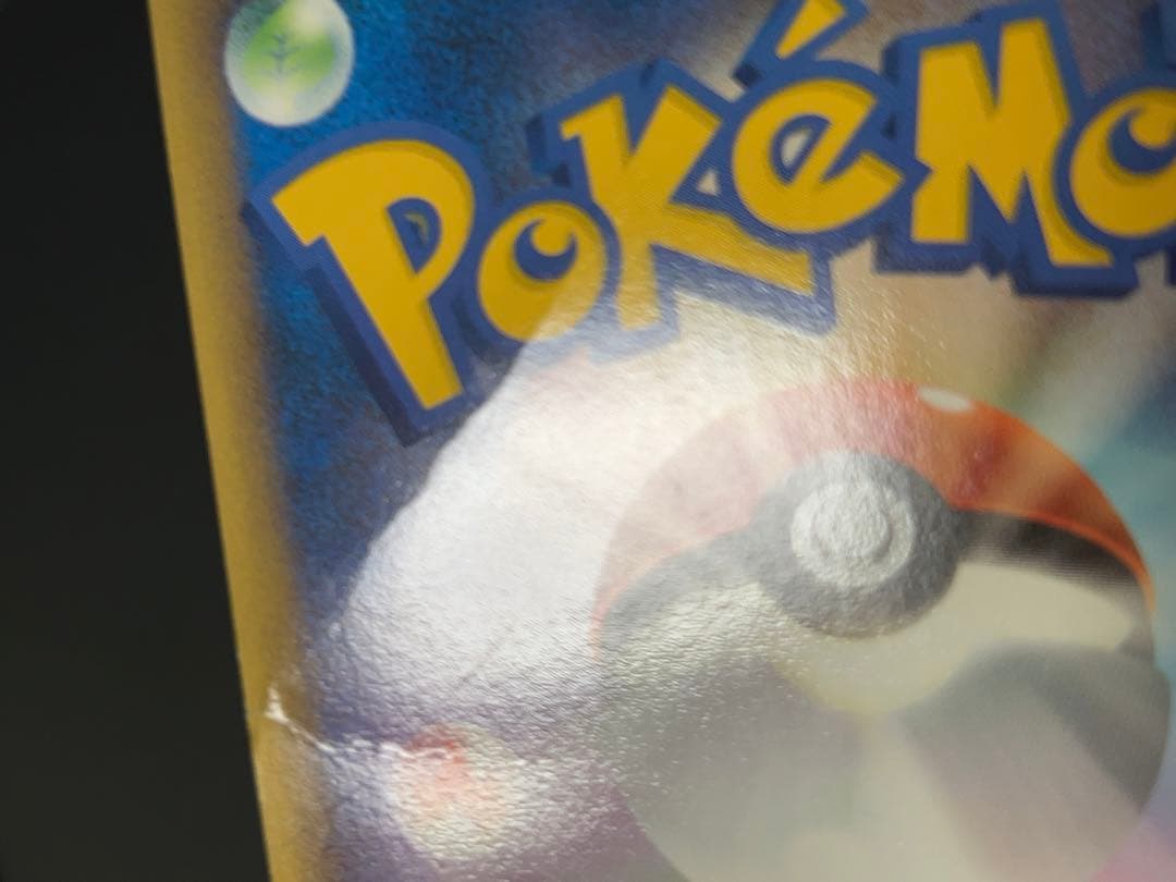 ピカチュウ ワールド ポーランド PW