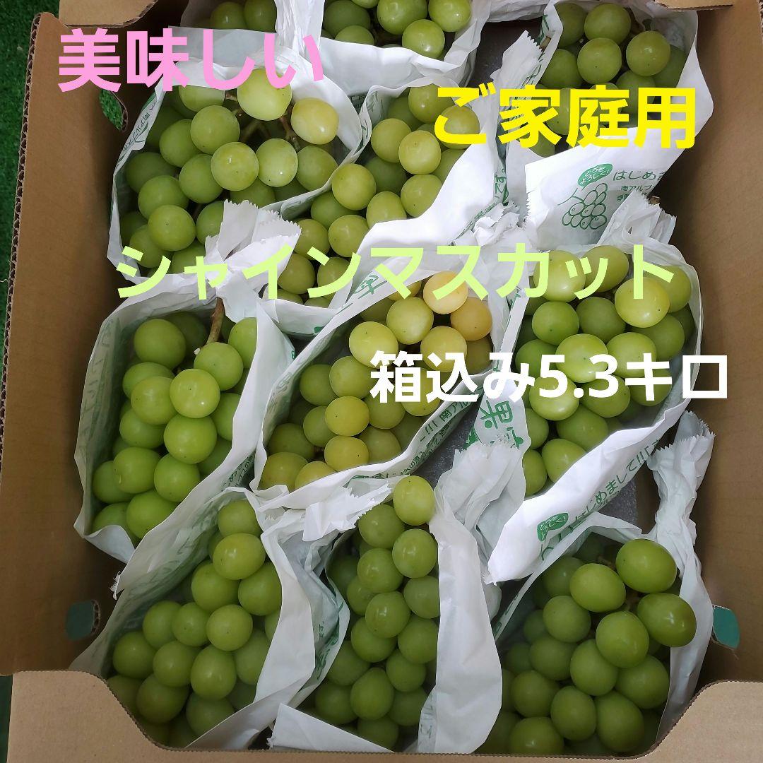 3️⃣ 山梨県産 シャインマスカット １０房入り 箱込み5.3キロ