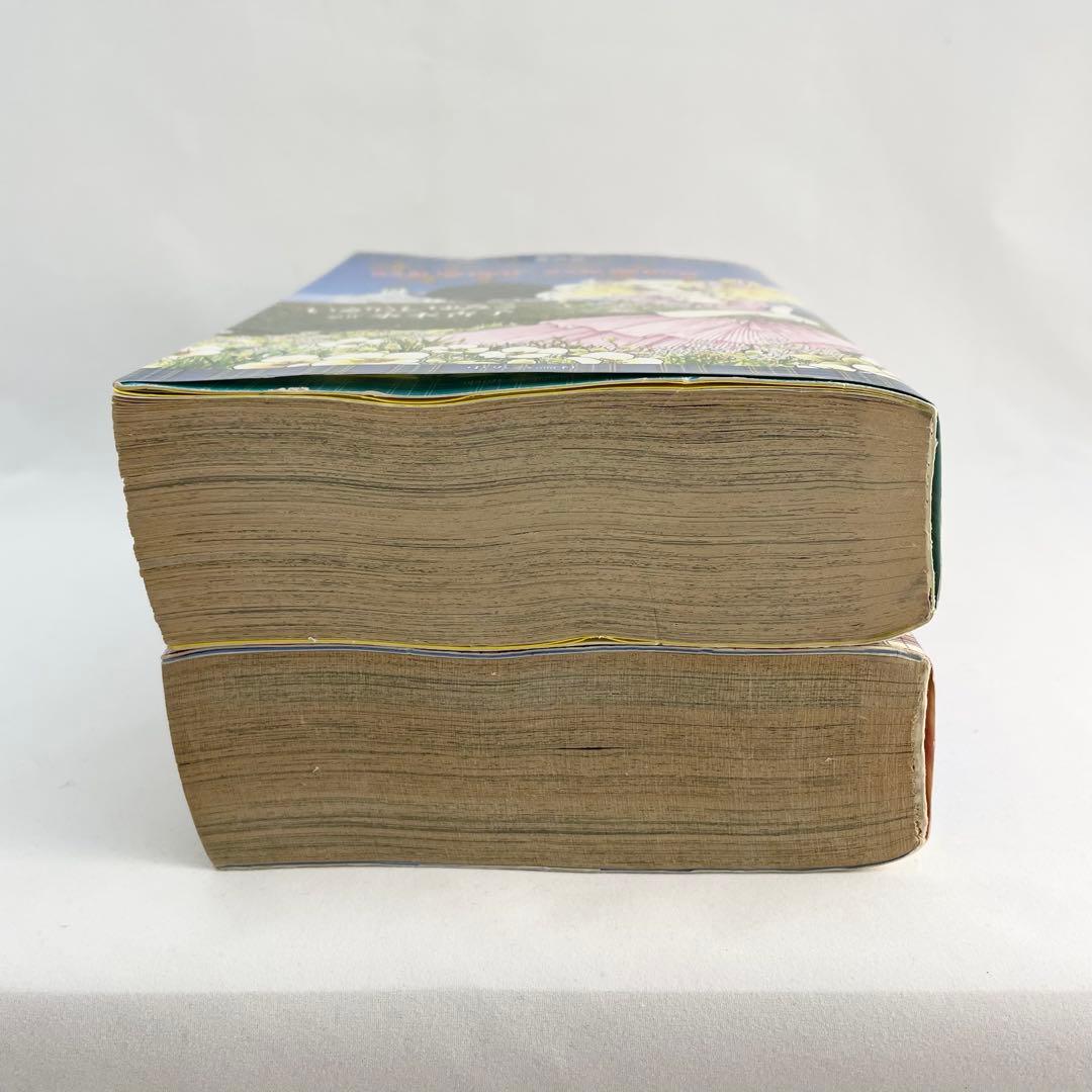 【名作】キャンディ♡キャンディ 愛蔵版 2巻セット 希少 CANDY CANDY