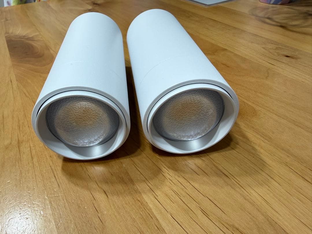 【超美品】エジソンスマート スポットライト 白　2本 リモコン付