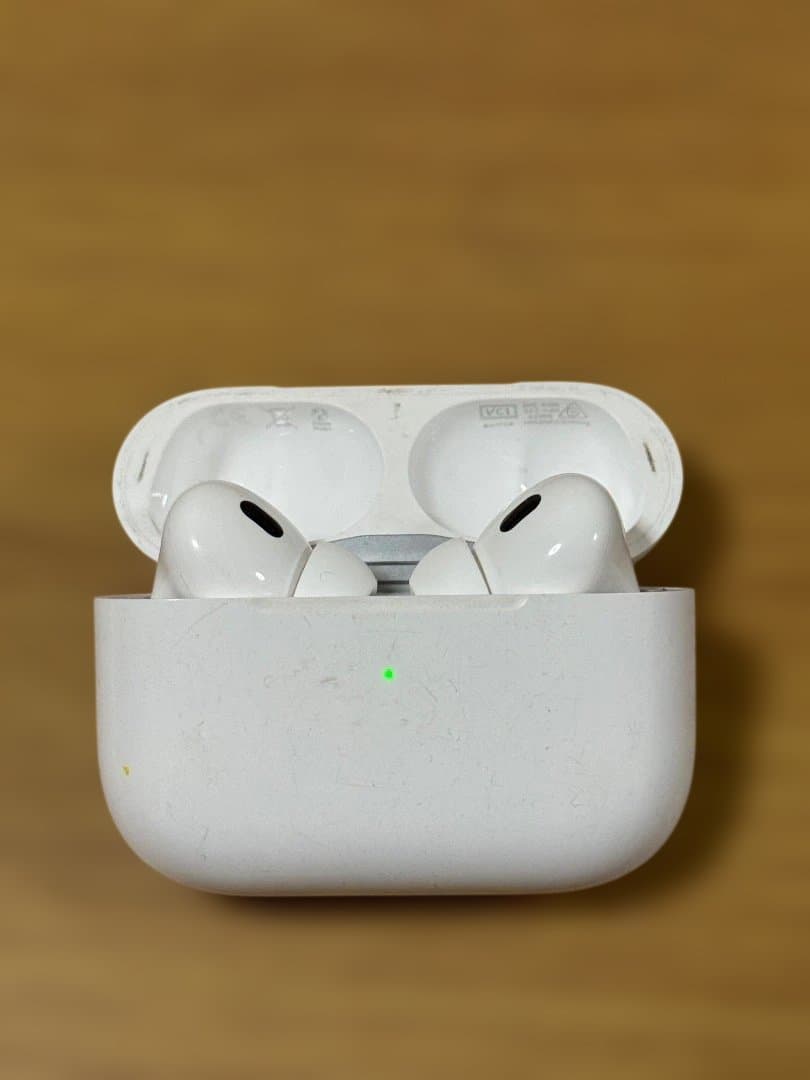 Apple AirPods Pro 本体 ジャンク
