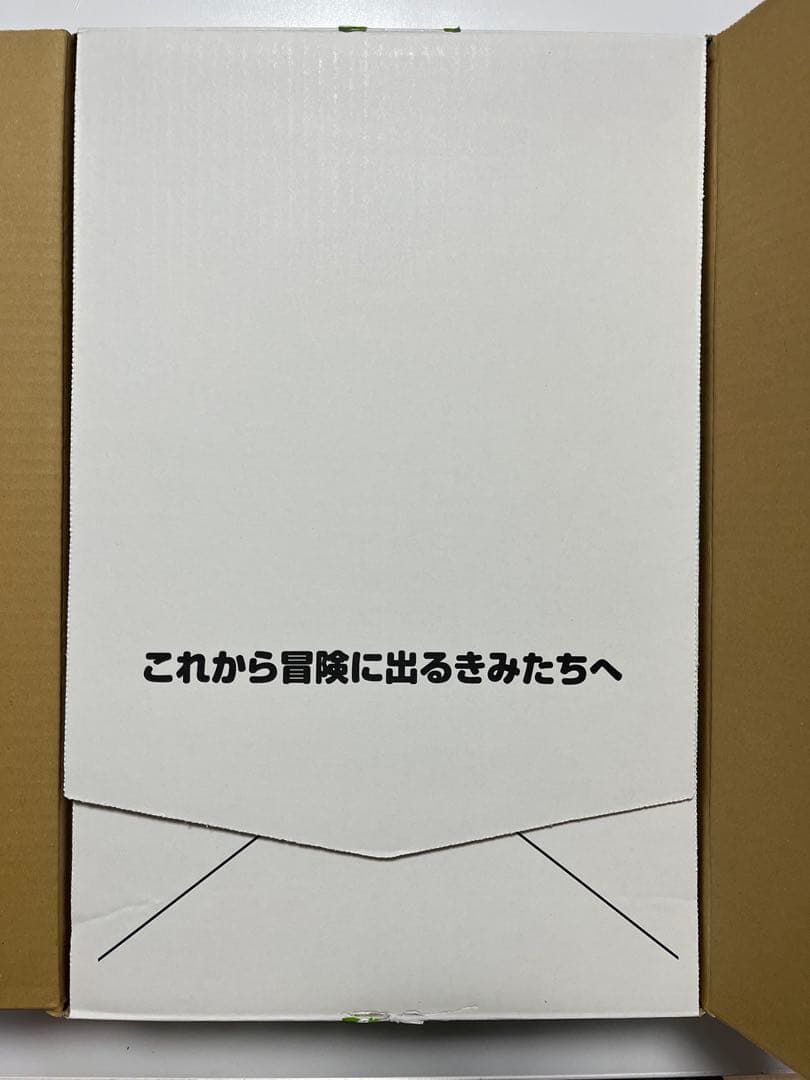 【‼️新品未開封‼️】ポケモン スカーレット・バイオレット ダブルパック 予約特典付