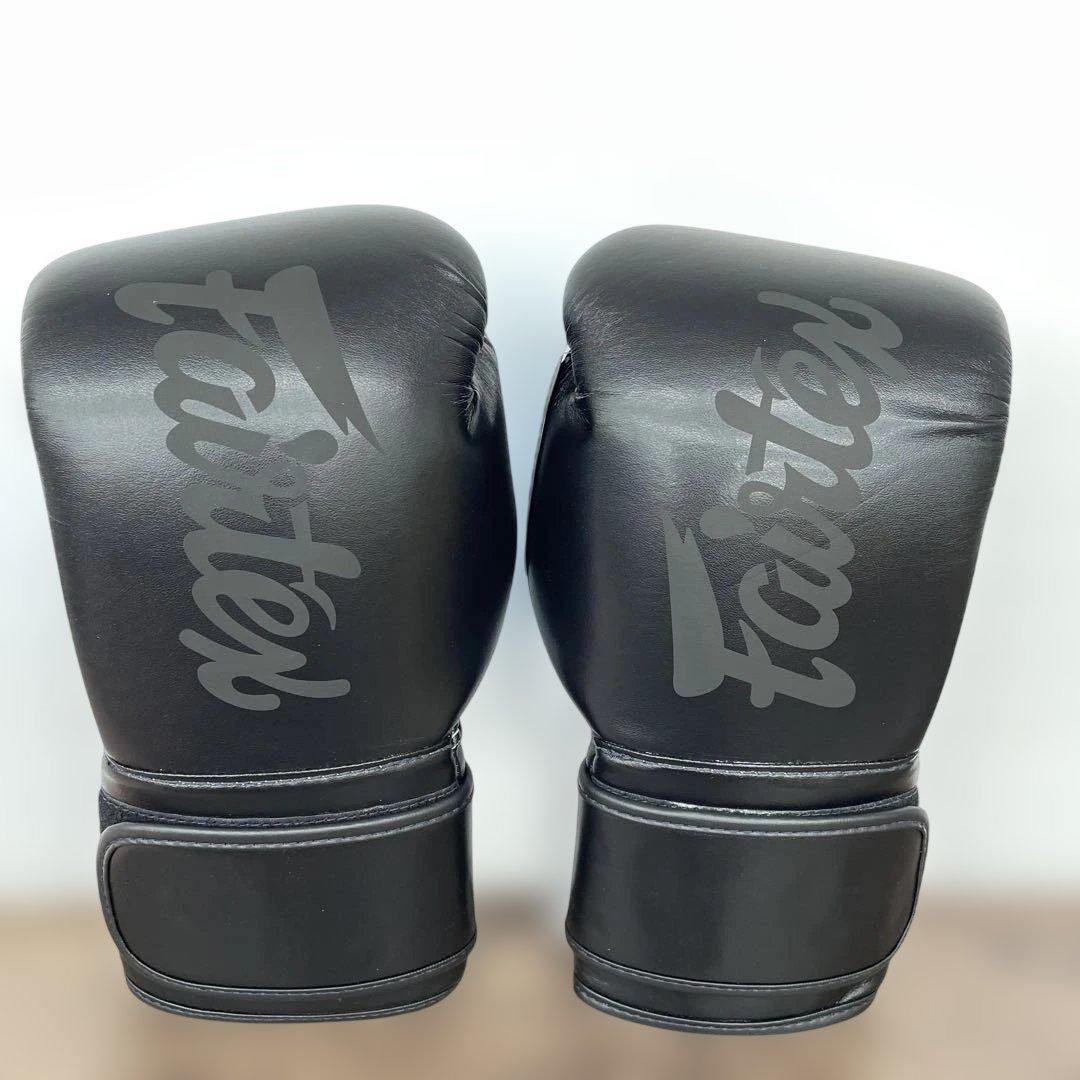 Fairtex ムエタイ ボクシンググローブBGV1 - タイプライド(限定版)