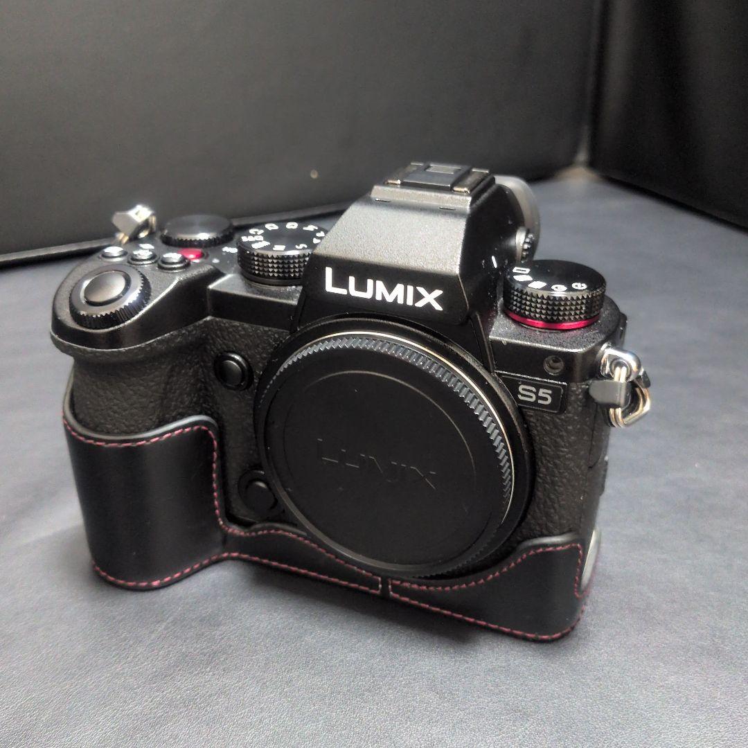 LUMIX S5 ミラーレス一眼カメラ　ワーリー