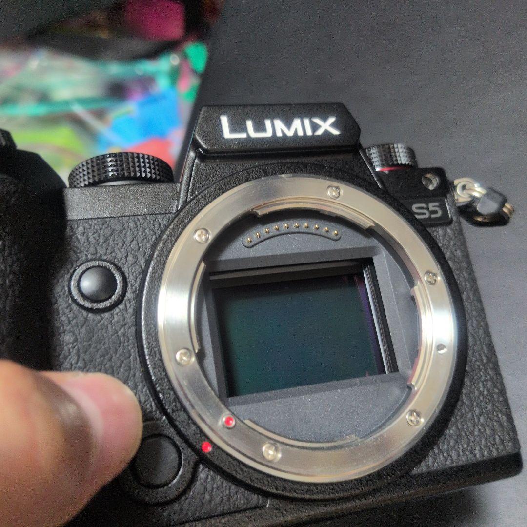 LUMIX S5 ミラーレス一眼カメラ　ワーリー