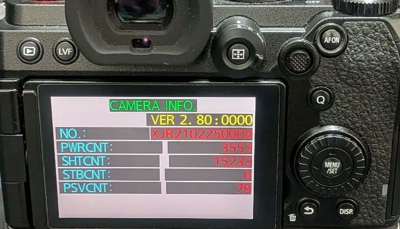 LUMIX S5 ミラーレス一眼カメラ　ワーリー