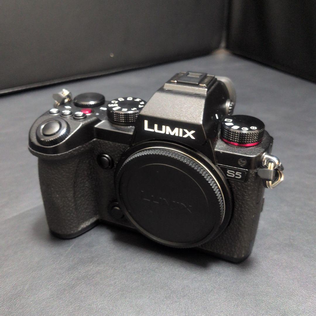 LUMIX S5 ミラーレス一眼カメラ　ワーリー